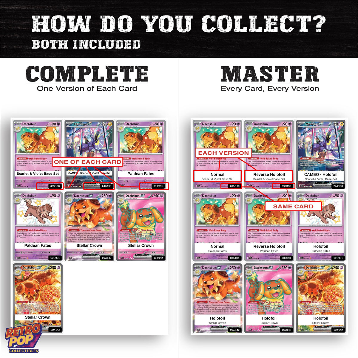 Complete Set vs Master Set versions of the Dachsbun binder placeholders