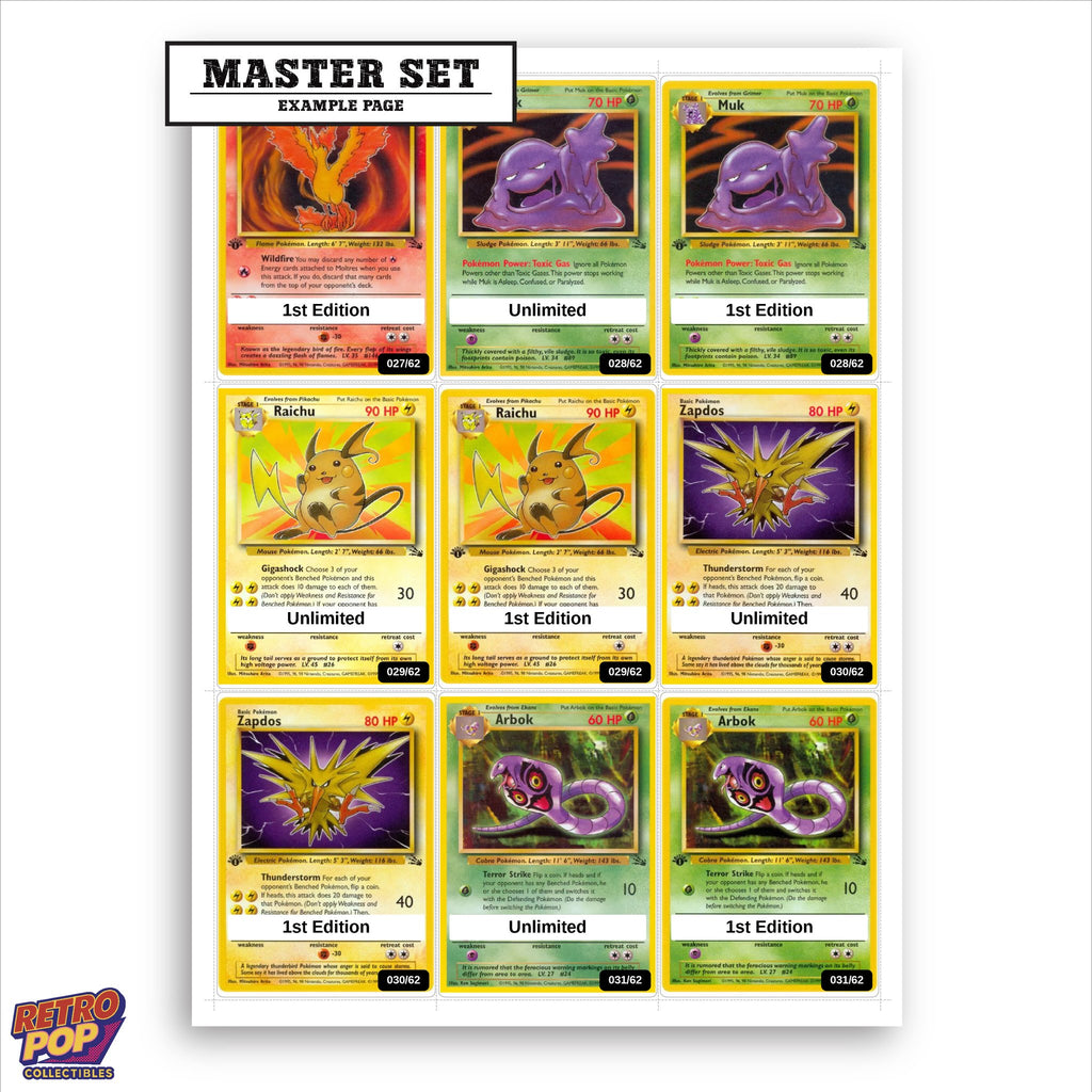 Printed Fossil placeholders in binder - real photo 1