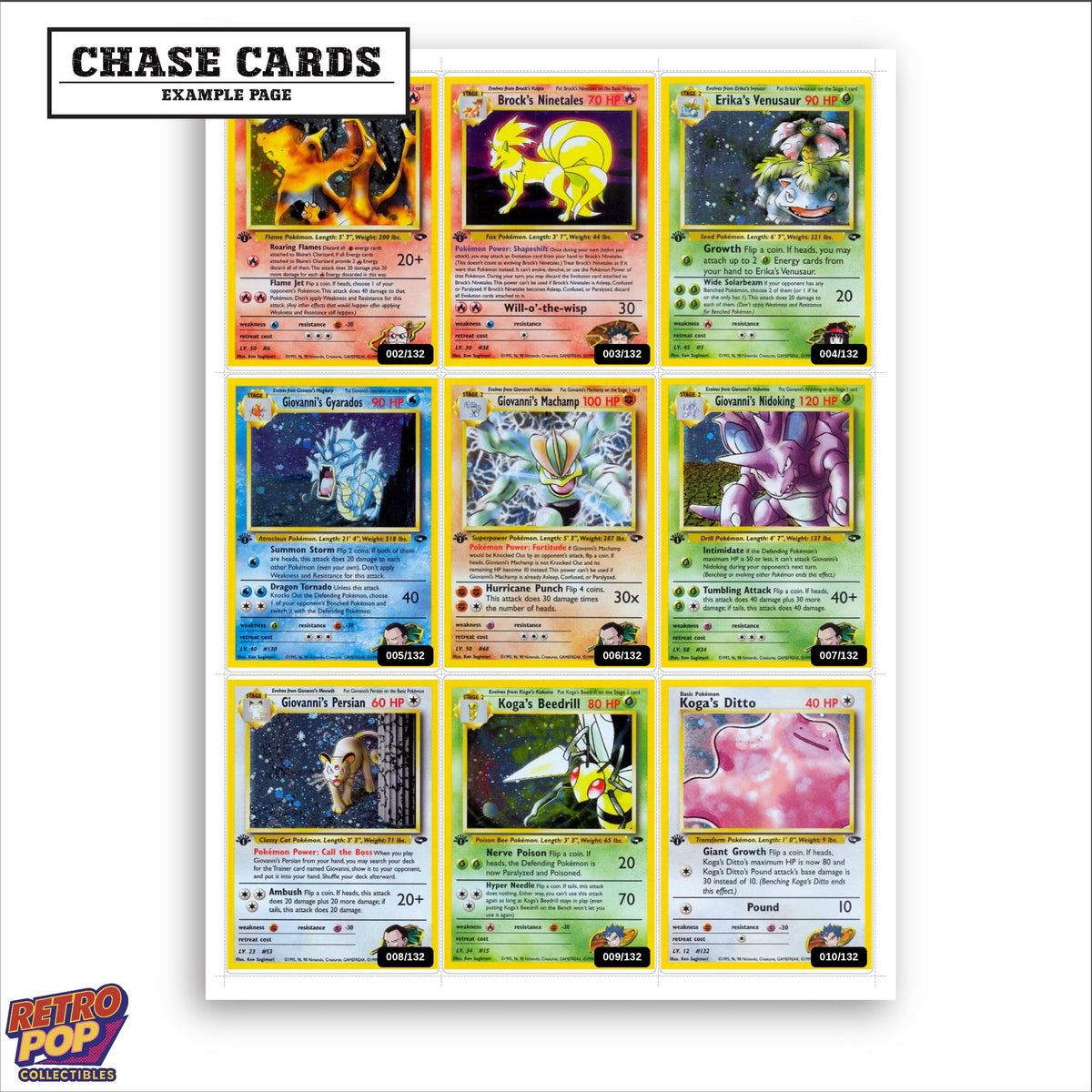 Printed Gym Challenge placeholders in binder - real photo 2