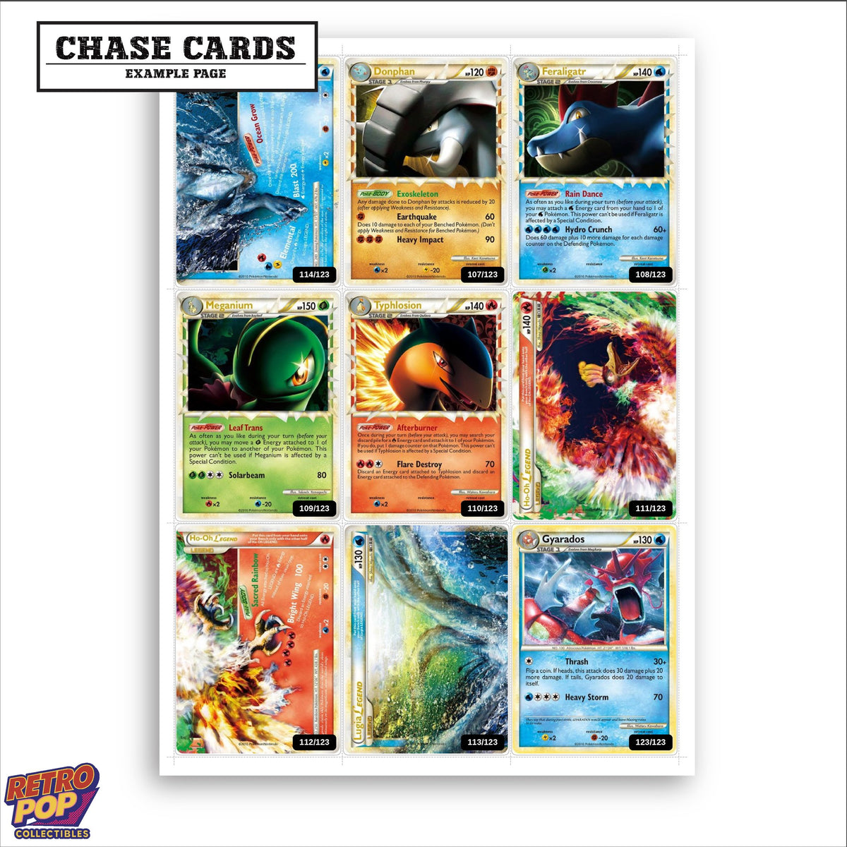 Printed HeartGold SoulSilver placeholders in binder - real photo 2